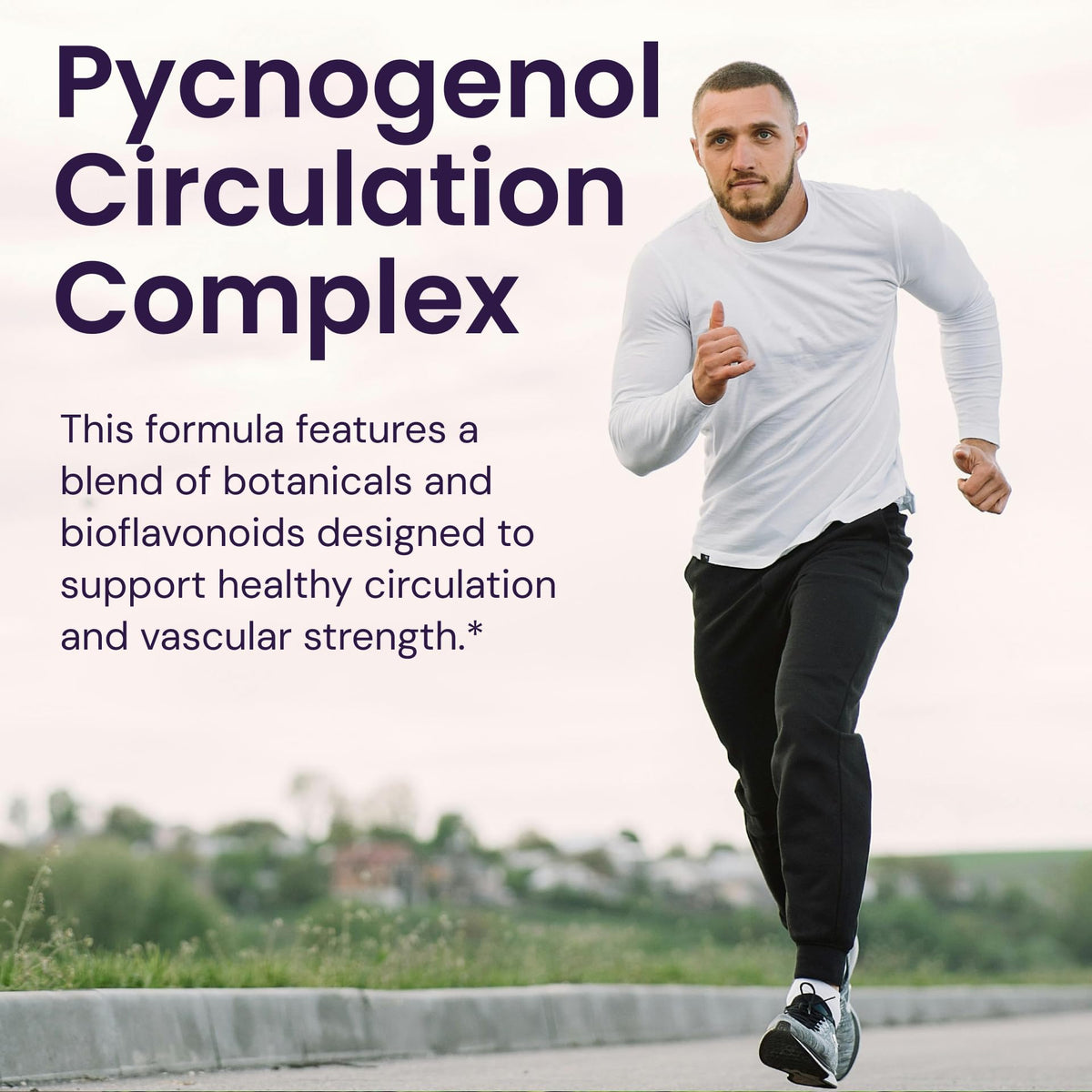 Healthy Origins Pycnogenol® Circulation Complex gélules dans une main