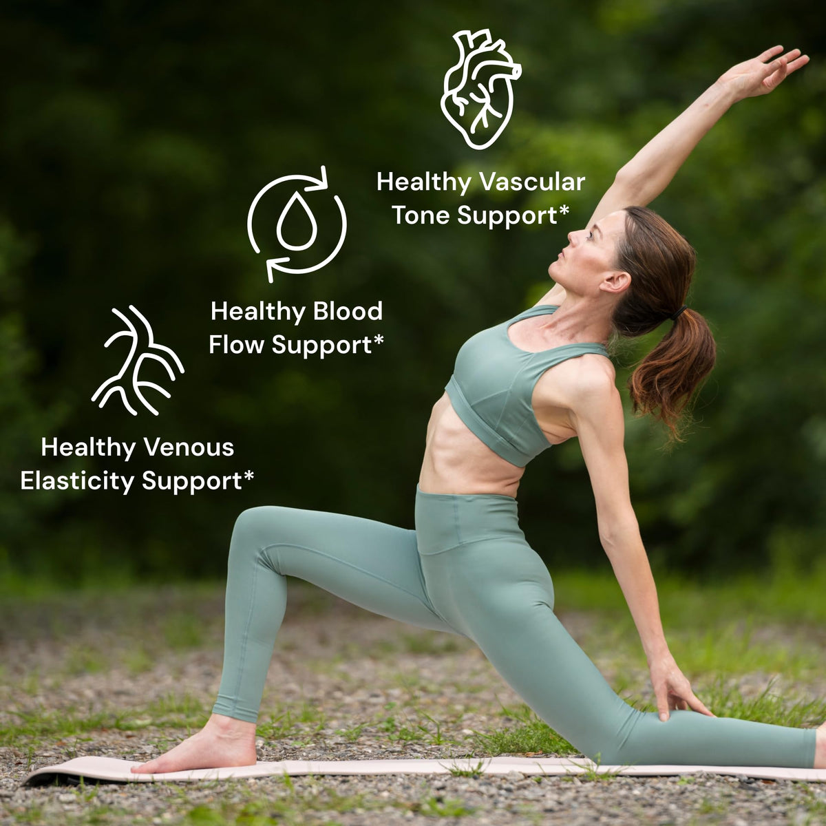 Healthy Origins Pycnogenol® Circulation Complex vue de côté