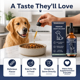 Healthy Petz Liquid Collagène 60ml dans un bol de nourriture