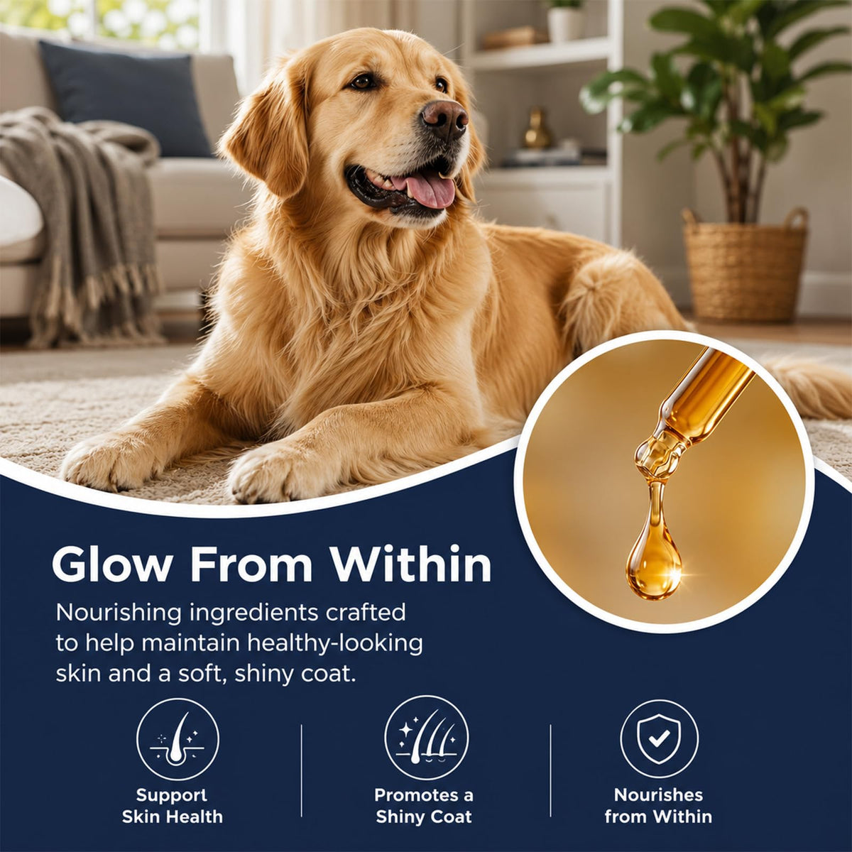 Healthy Petz Liquid Collagène 60ml en utilisation avec un chien