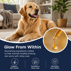 Healthy Petz Liquid Collagène 60ml en utilisation avec un chien