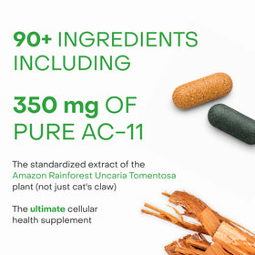 HealthyCell AM/PM Système de Santé - comprimés PM