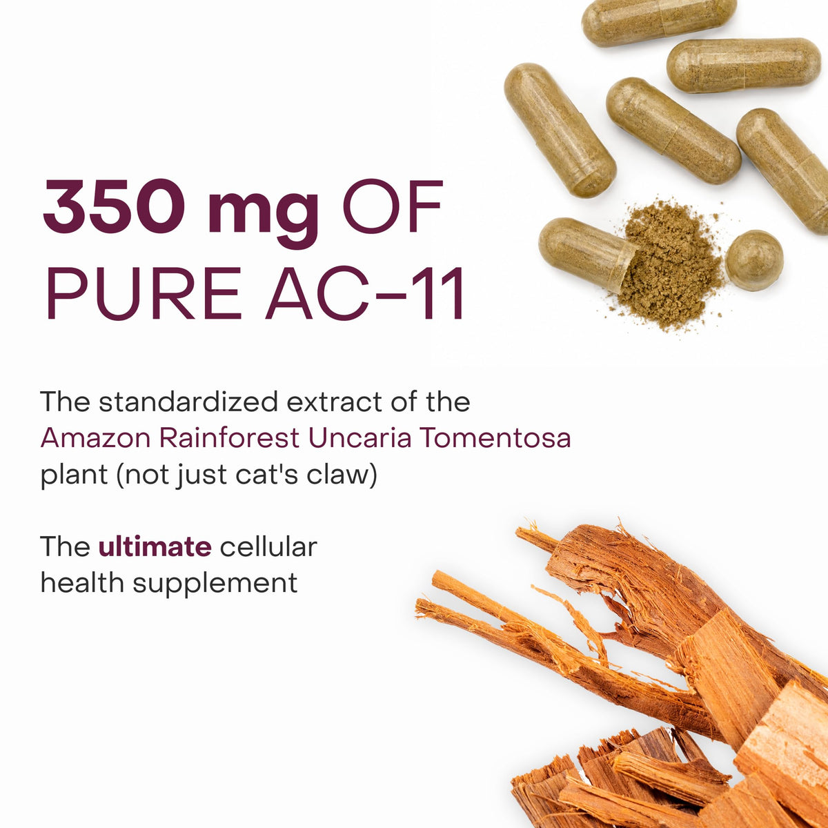 HealthyCell Complément Longueur des Télomères 41g côté