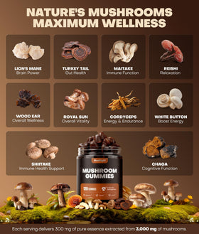 HealthyVi Gummies Champignons 10-en-1 120 Ct affichage des gummies