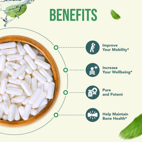 HealthyWayRx Complément Alimentaire SAM-e 500mg capsules sur une table
