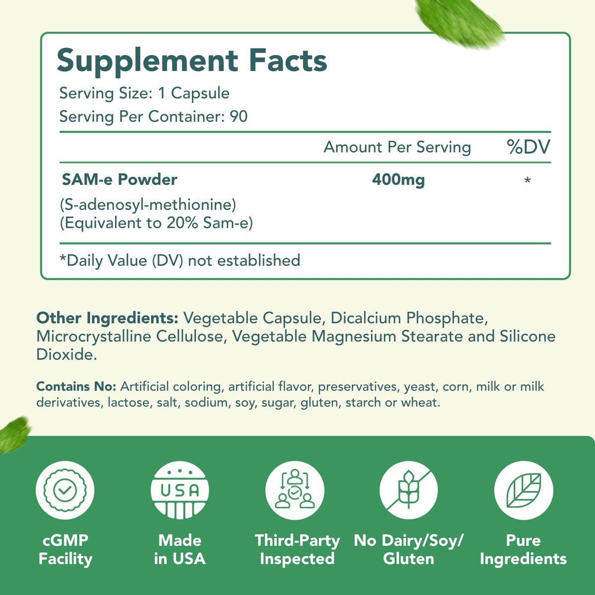 HealthyWayRx SAM-e 400mg capsules lifestyle scene