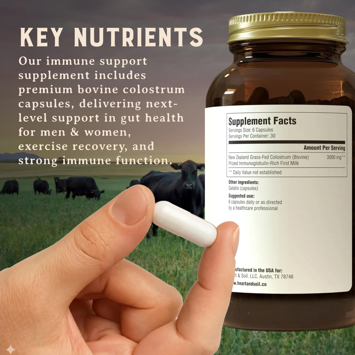 HEART & SOIL Colostrum 180 capsules sur une table