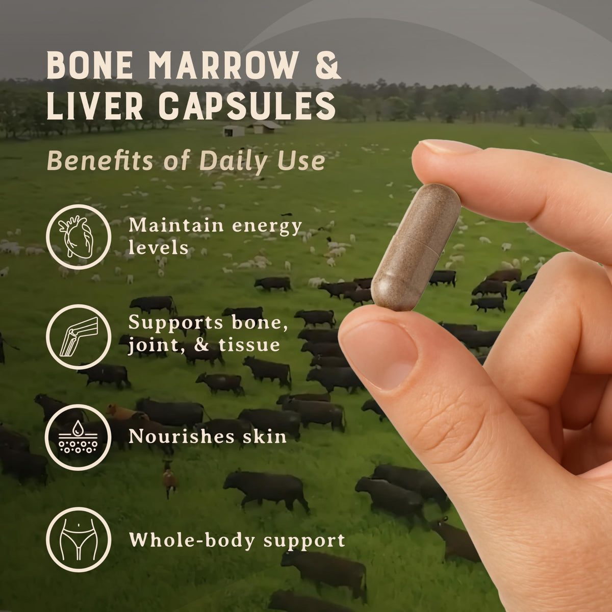HEART & SOIL Complément Alimentaire - Capsules sur fond blanc