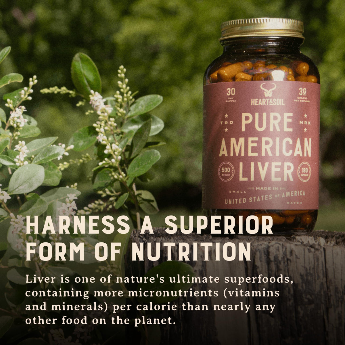 HEART & SOIL Complément Alimentaire Foie de Boeuf Américain 3000mg - Nutriments essentiels