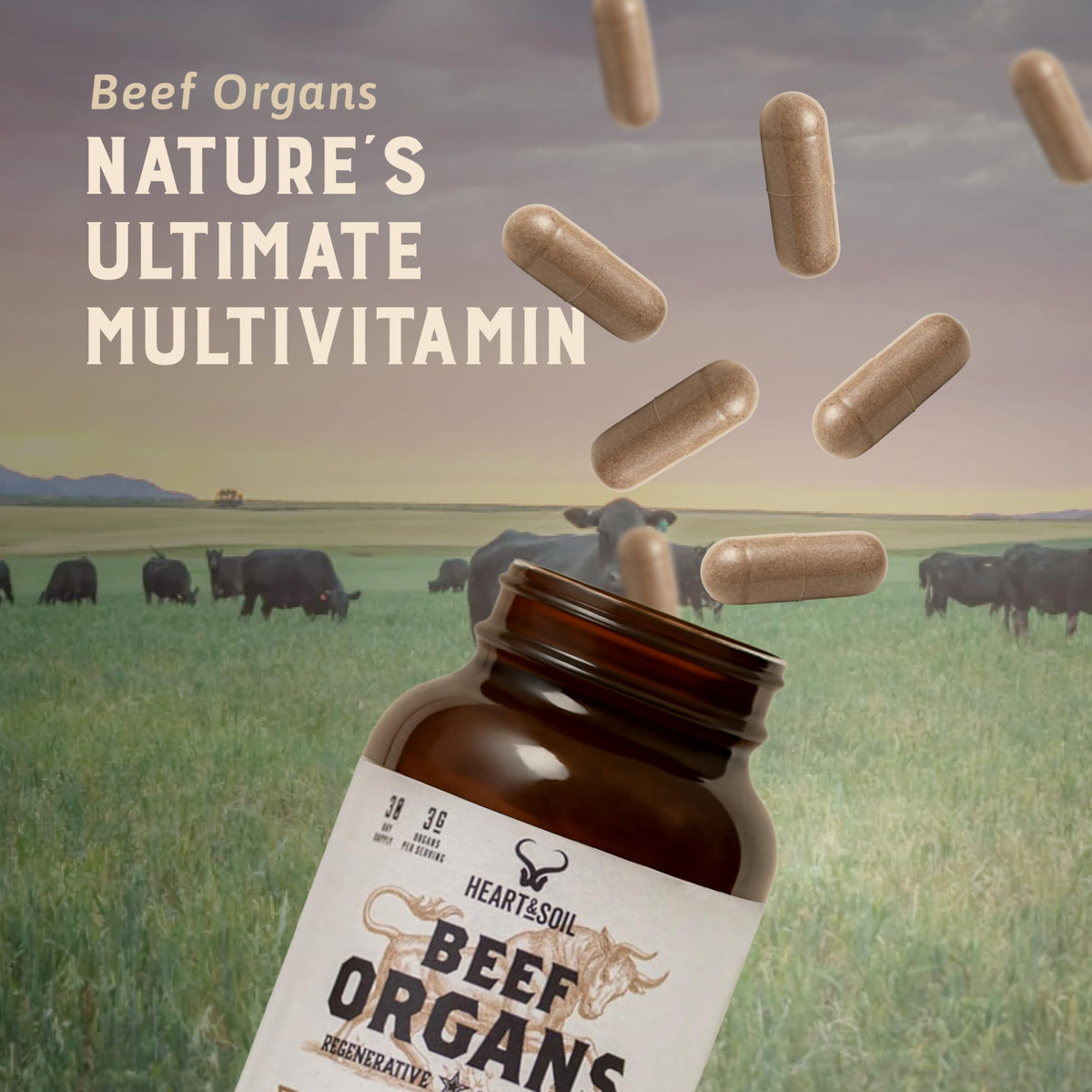 HEART & SOIL Complément Alimentaire Organes de Bœuf 180 Capsules en gros plan