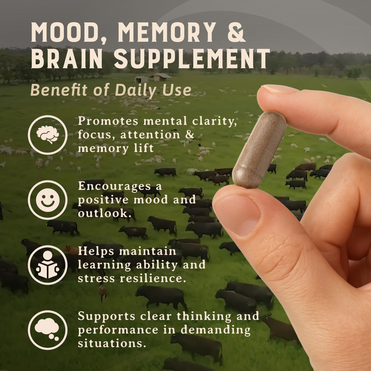 HEART & SOIL Complément Cérébral 180 capsules avec étiquette