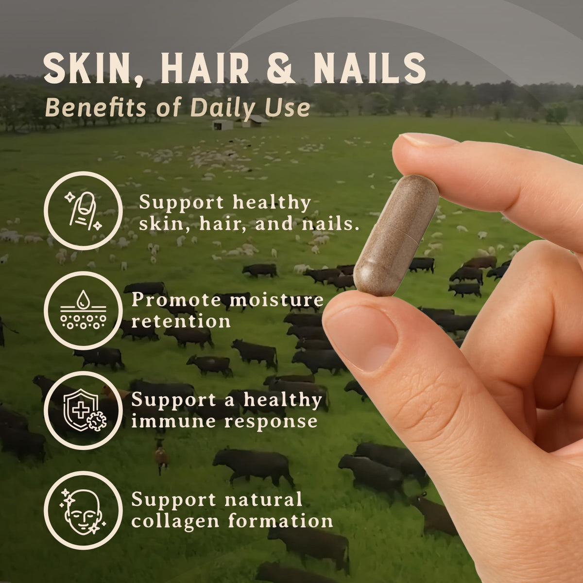 HEART & SOIL Complément Cheveux, Peau et Ongles 180 capsules avec étiquette