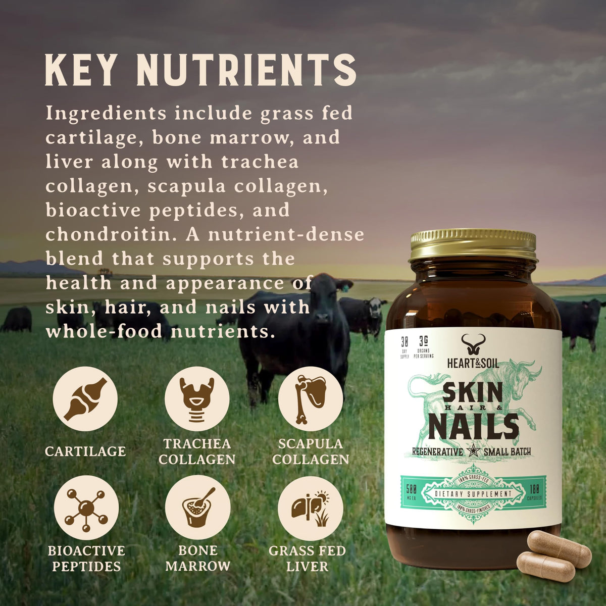 HEART & SOIL Complément Cheveux, Peau et Ongles 180 capsules dans un environnement naturel