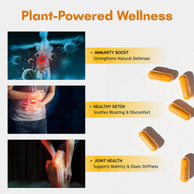 Hebhac Herbs capsules de curcuma bio sur une table en bois