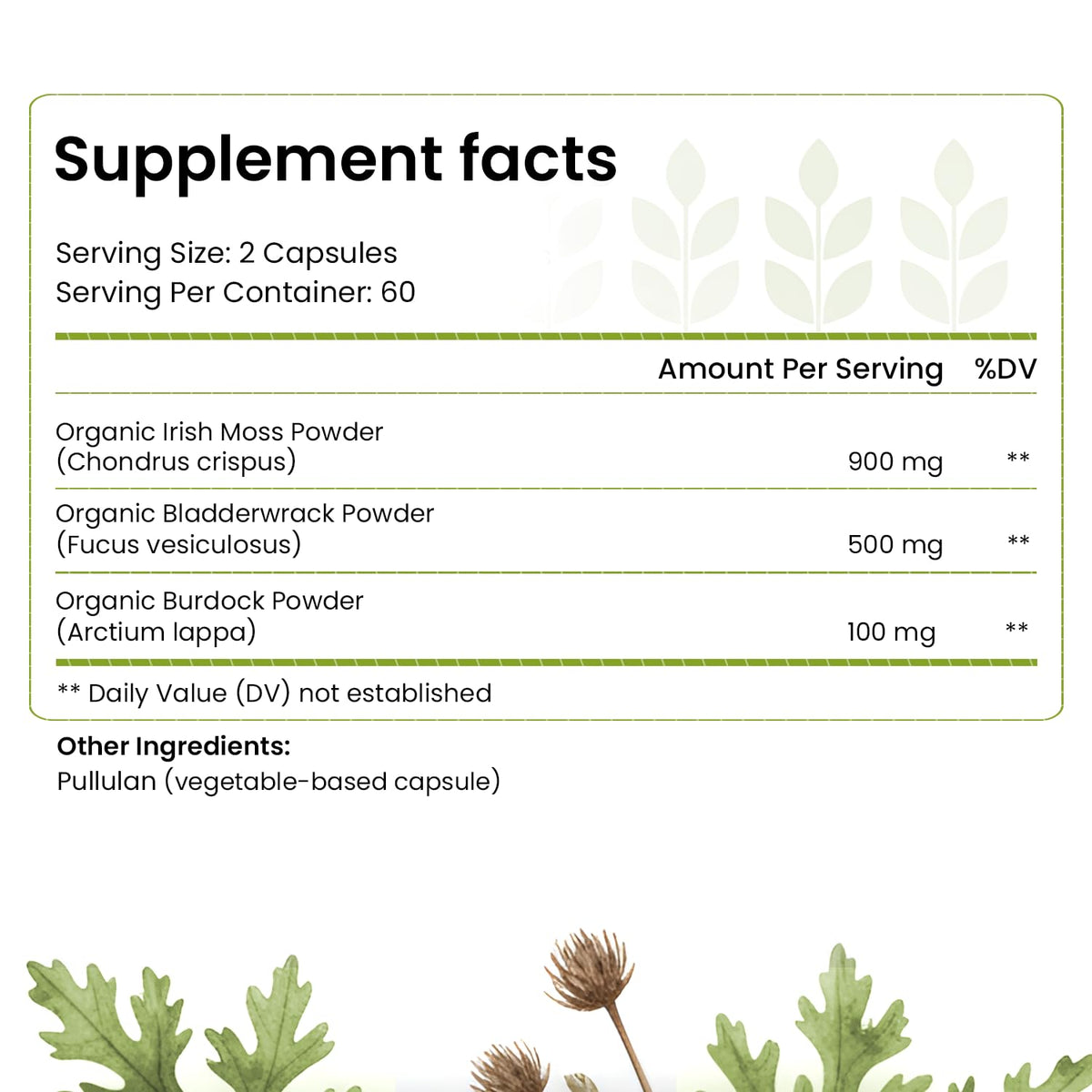 HELLO HEALTH Capsules de Mousse de Mer Irlandais 1500 mg, vue arrière