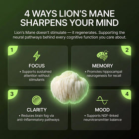 HELLO100 Complément Alimentaire Champignon Lion's Mane 120 Capsules - Bouteille ouverte