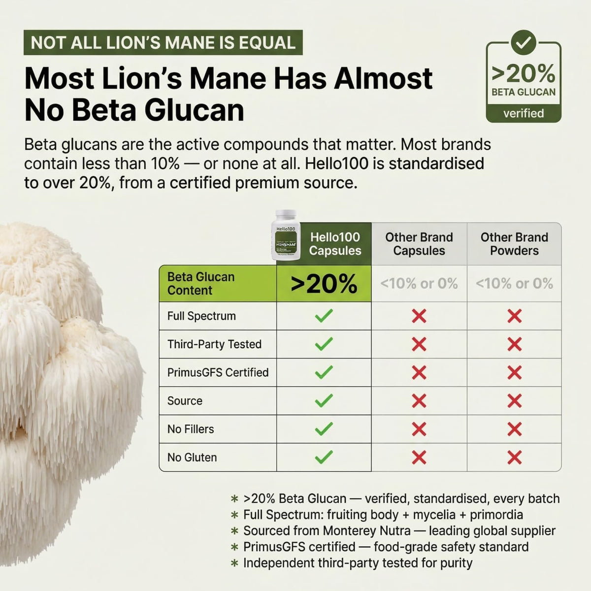 HELLO100 Complément Alimentaire Champignon Lion's Mane 120 Capsules - Détails des ingrédients