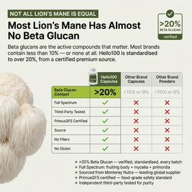 HELLO100 Complément Alimentaire Champignon Lion's Mane 120 Capsules - Détails des ingrédients