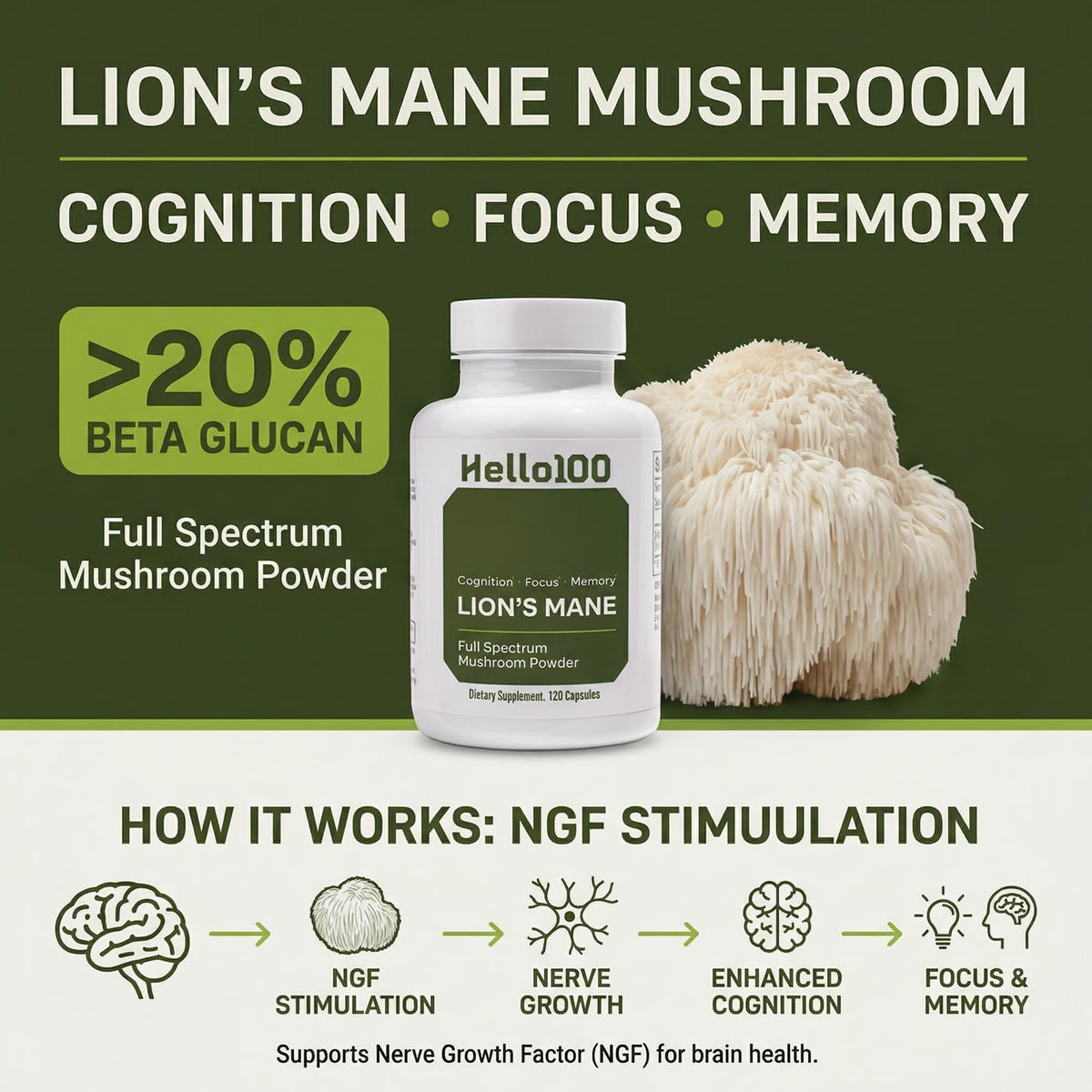 HELLO100 Complément Alimentaire Champignon Lion's Mane 120 Capsules - Vue de dos