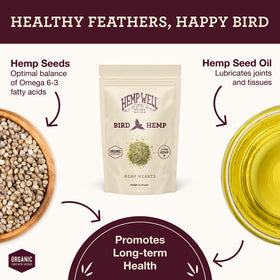 Hemp Well Coeurs de Chanvre Biologiques 470g à côté de graines pour oiseaux