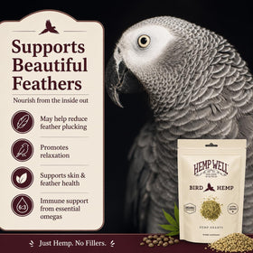 Hemp Well Coeurs de Chanvre Biologiques 470g en gros plan