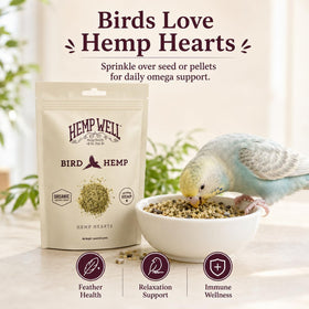 Hemp Well Coeurs de Chanvre Biologiques 470g vue arrière du sachet