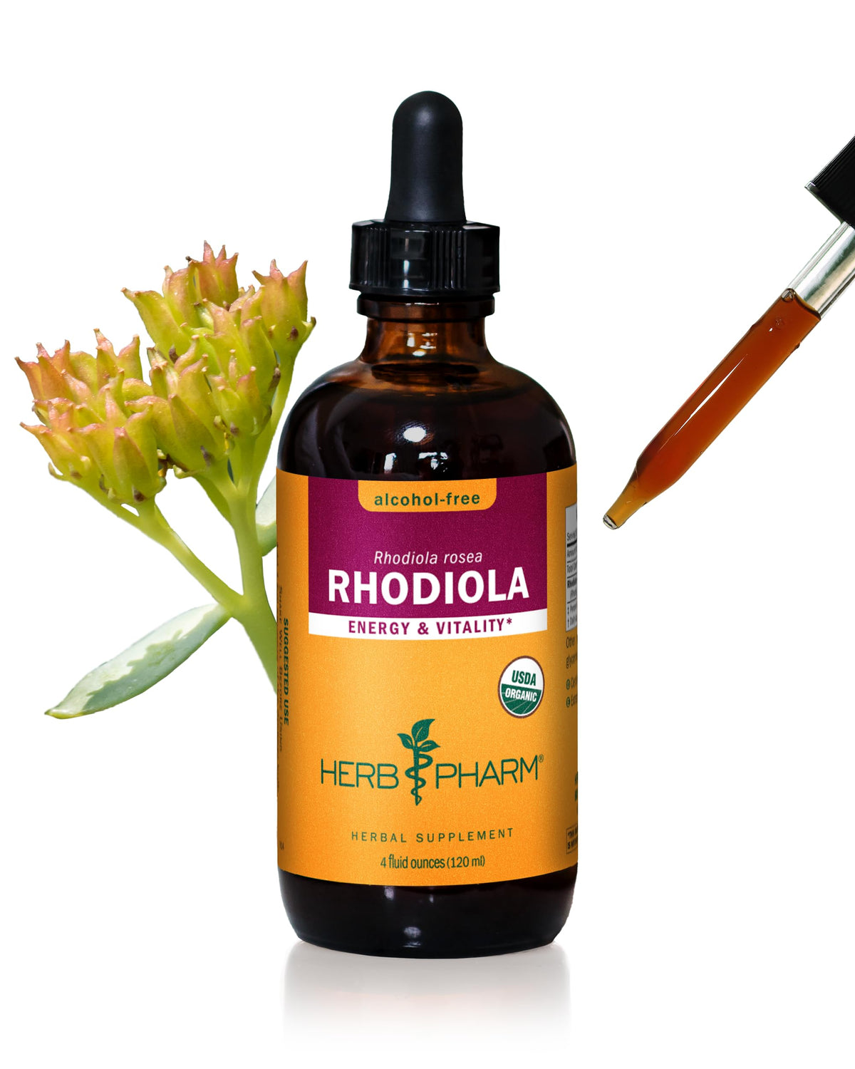 Herb Pharm Extrait de Racine de Rhodiola Bio 118 ml vue de face