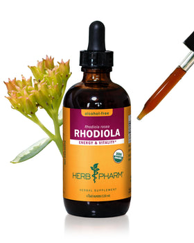 Herb Pharm Extrait de Racine de Rhodiola Bio 118 ml vue de face