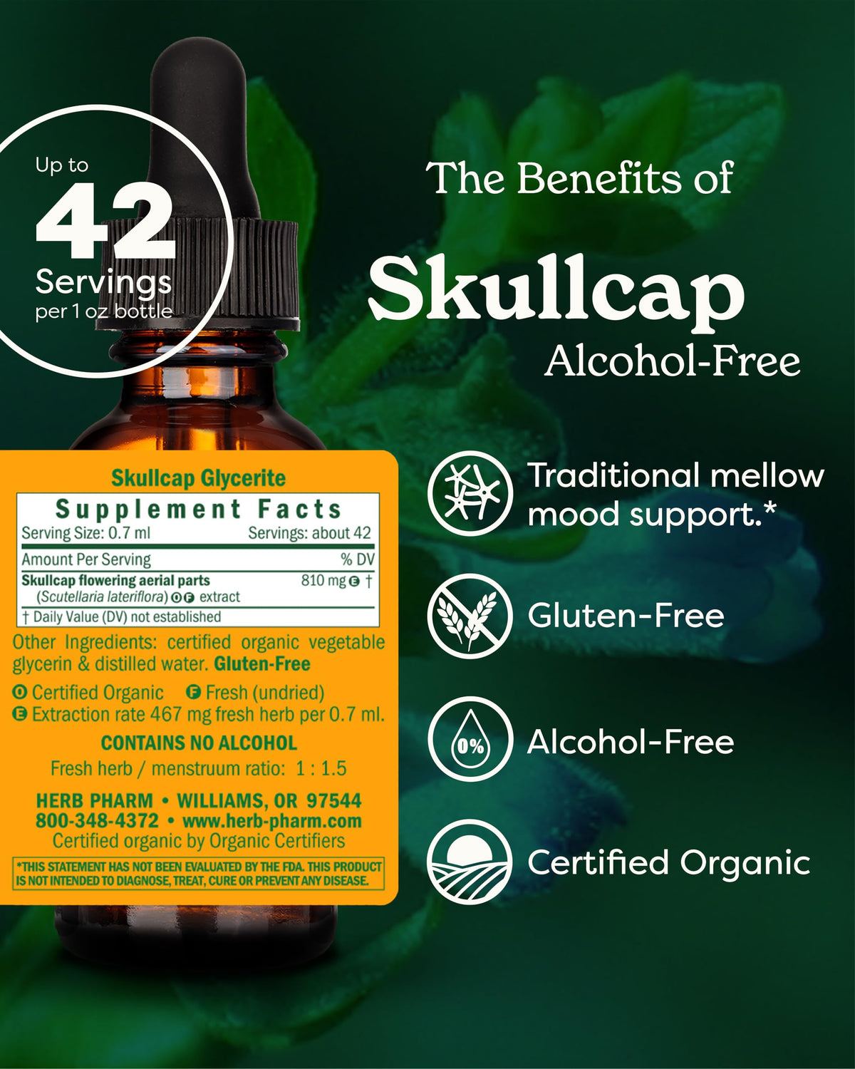 Herb Pharm Extrait de Skullcap - Détails de l'étiquette