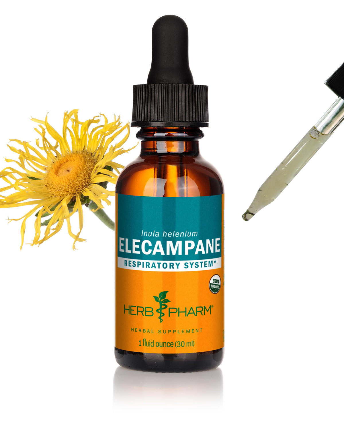 Herb Pharm Extrait Liquide d'Élecampane Bio 30 ml vue avant