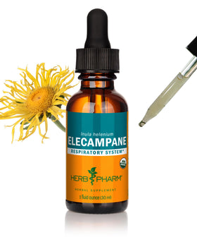 Herb Pharm Extrait Liquide d'Élecampane Bio 30 ml vue avant