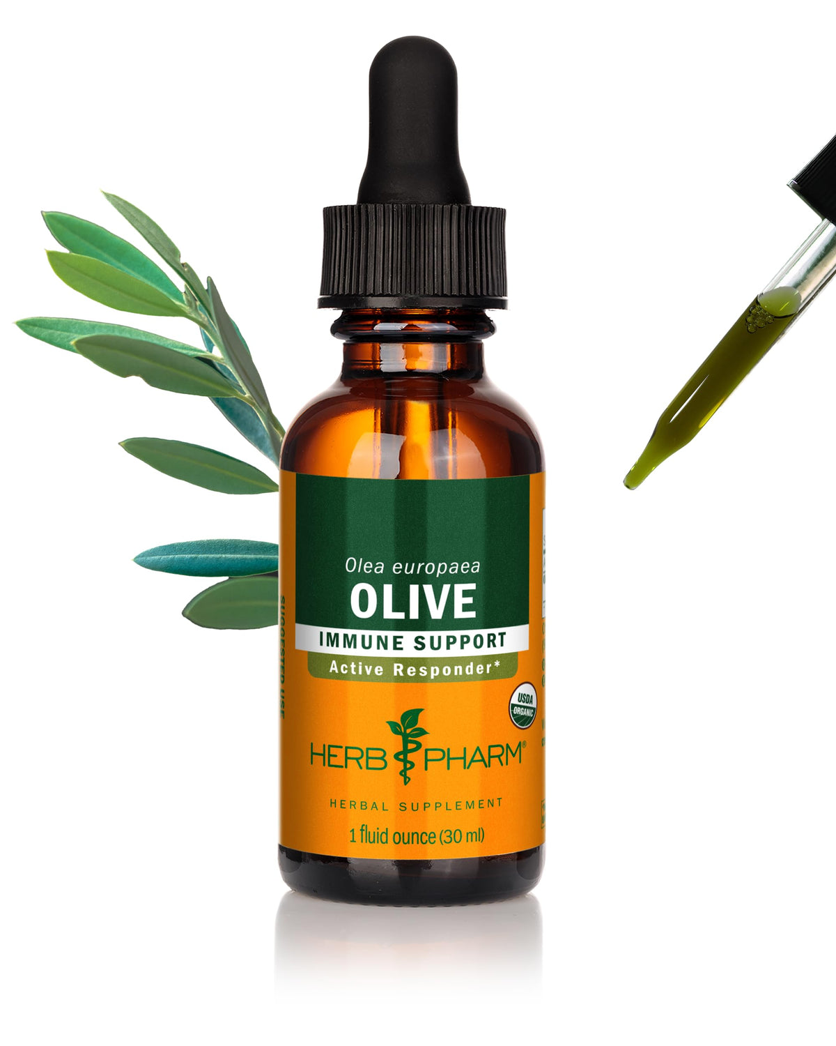 Herb Pharm Extrait Liquide de Feuille d'Olivier Bio 30 ml vue de face