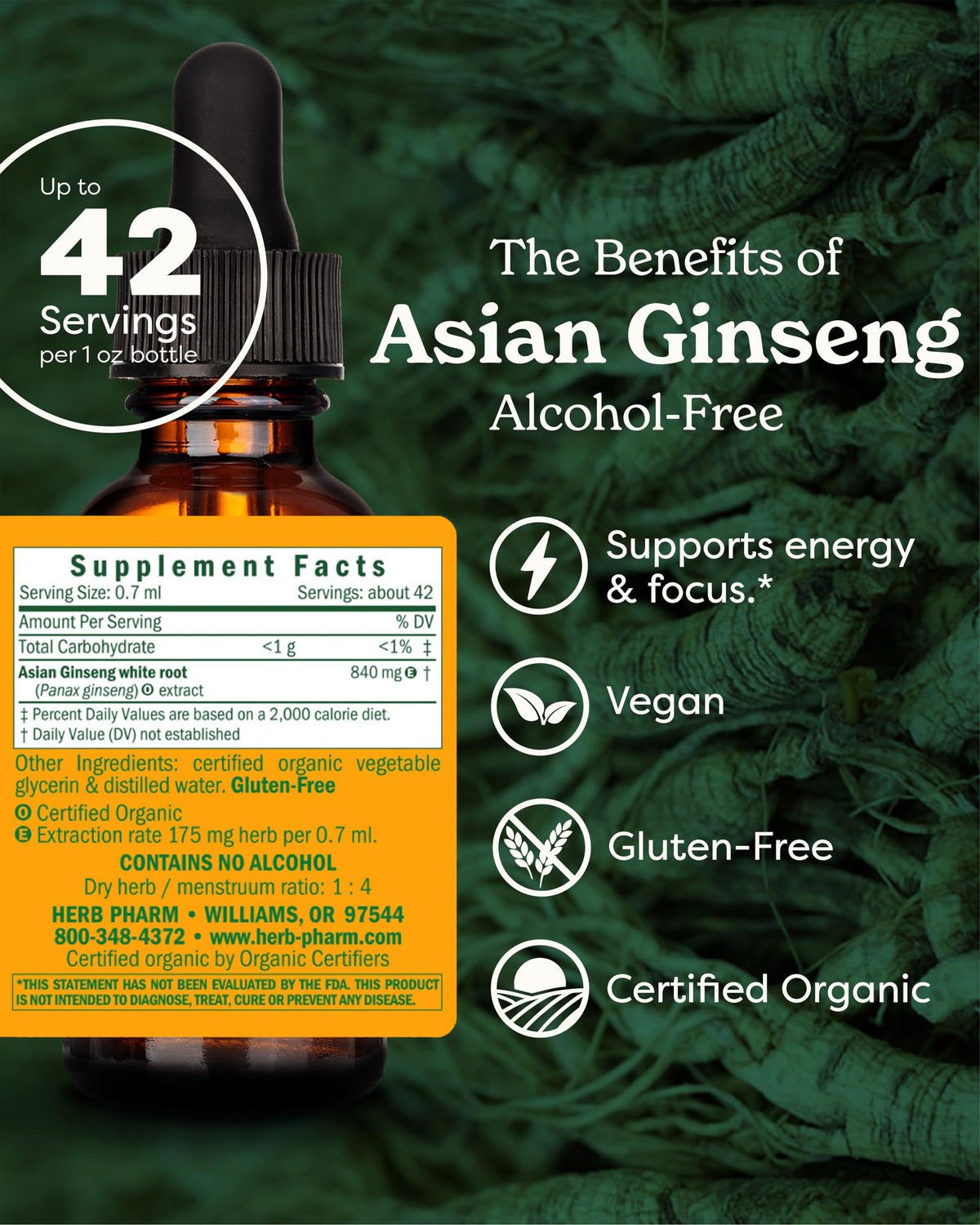 Herb Pharm Ginseng Liquide 30 ml bouteille sur fond blanc