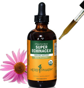 Herb Pharm Super Échinacée 4 oz bouteille vue de face