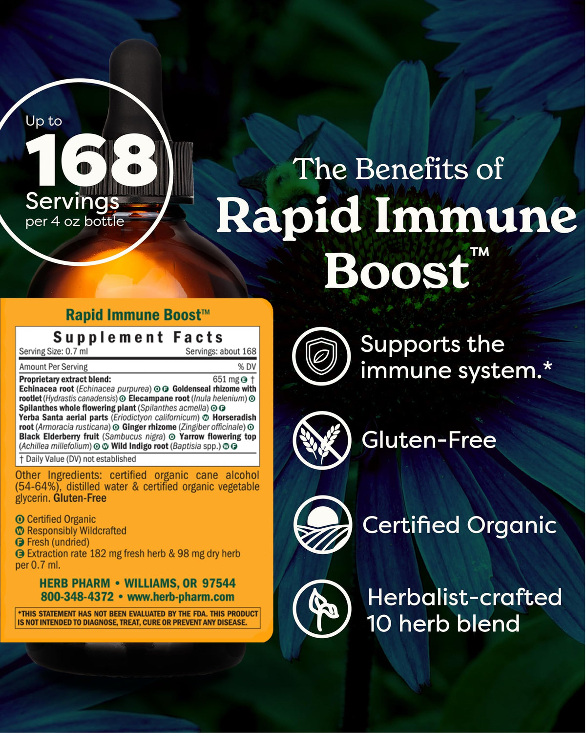 Herb Pharm Teinture Echinacea 118 ml compte-gouttes