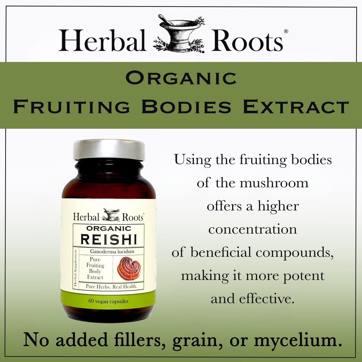 Herbal Roots capsules de champignon Reishi sur fond blanc