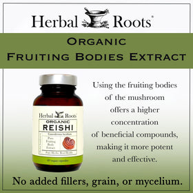 Herbal Roots capsules de champignon Reishi sur fond blanc