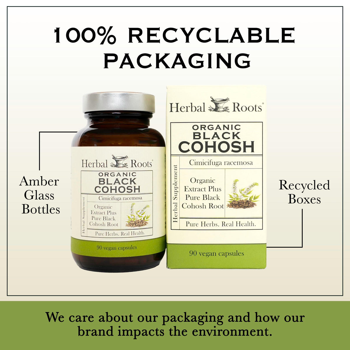 Herbal Roots capsules de racine de cimicifuga bio - photo d'ensemble avec le produit sur une table