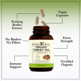 Herbal Roots Champignon Turkey Tail 60 Capsules avec étiquette bio