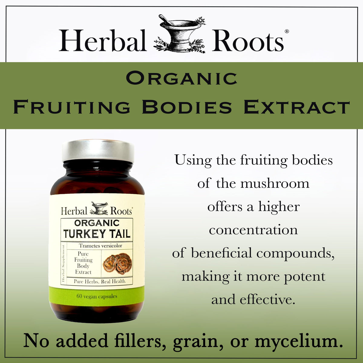 Herbal Roots Complément Alimentaire Champignon Turkey Tail 60 Capsules sur fond blanc