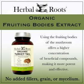 Herbal Roots Complément Alimentaire Champignon Turkey Tail 60 Capsules sur fond blanc