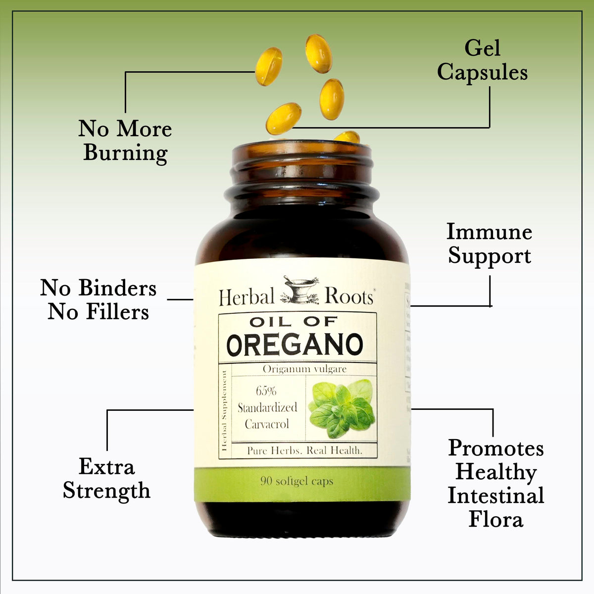 Herbal Roots Huile d'Origan Gélules ouvertes montrant le contenu
