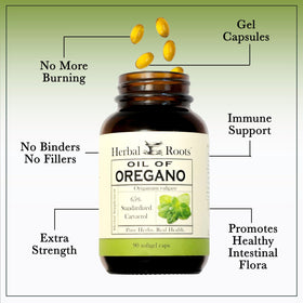 Herbal Roots Huile d'Origan Gélules ouvertes montrant le contenu
