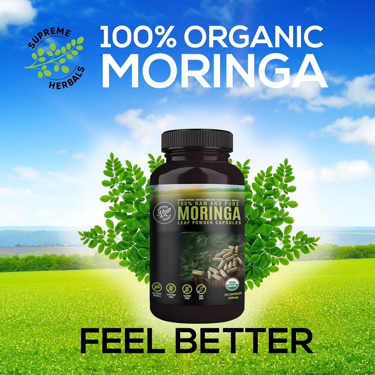 HERBALS Poudre de Feuille de Moringa 500mg capsules arrière