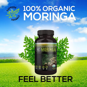 HERBALS Poudre de Feuille de Moringa 500mg capsules arrière