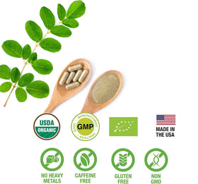 HERBALS Poudre de Feuille de Moringa 500mg capsules ouvertes