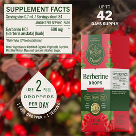 HERBAMAMA Berbérine 500 mg en usage avec un verre d'eau