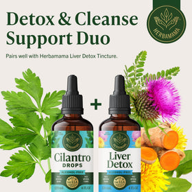 HERBAMAMA Cilantro 240g flacon avec fond naturel