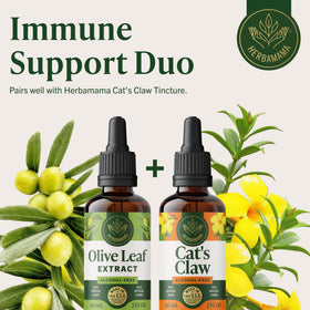 HERBAMAMA Extrait de Feuille d'Olivier 500 mg en utilisation