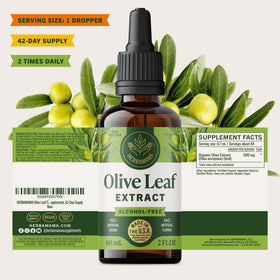 HERBAMAMA Extrait de Feuille d'Olivier 500 mg sur fond blanc